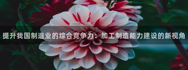 华润娱乐刑95692