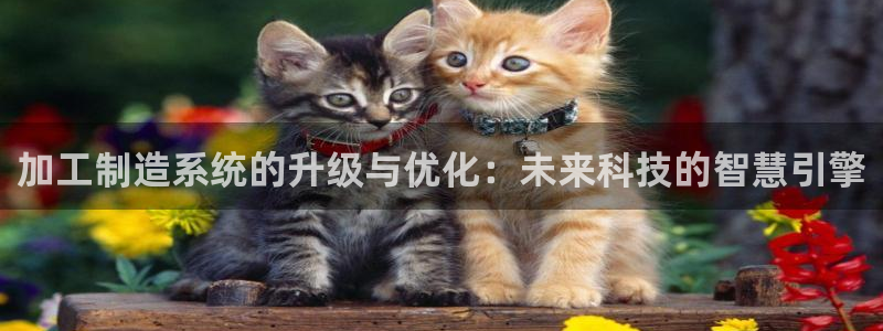 华润注册平台娱乐