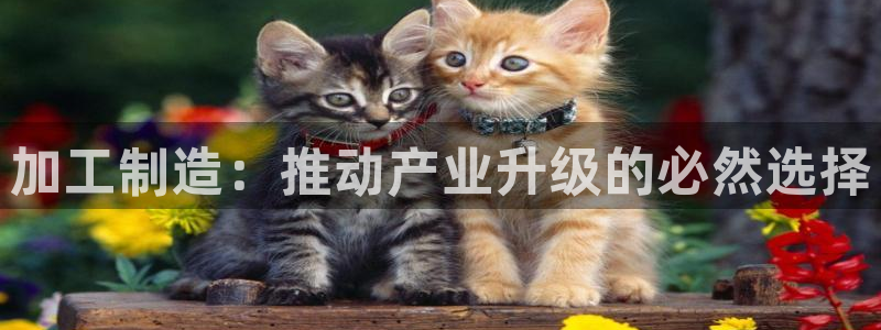 华润娱乐下7O667