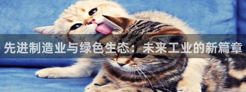 华润娱乐app