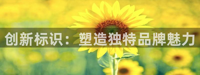 华润万象娱乐