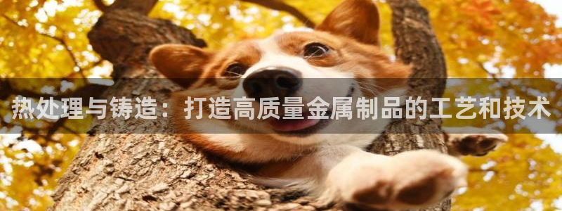 华润娱乐app