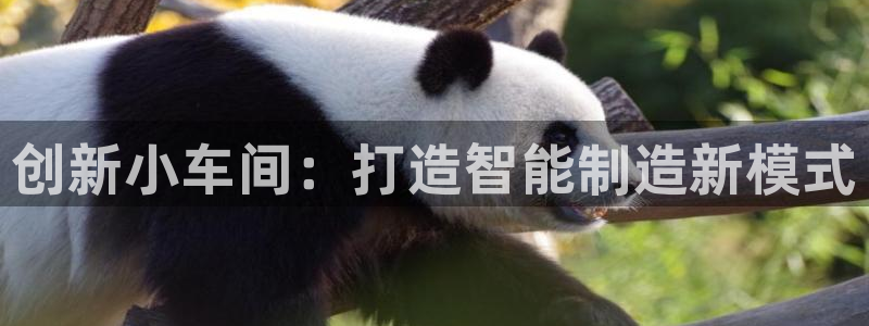 华润娱乐择q675.138