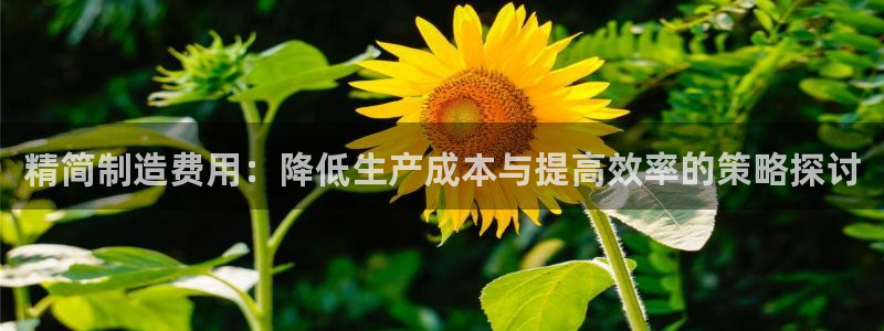 华润娱乐23bd1指尖