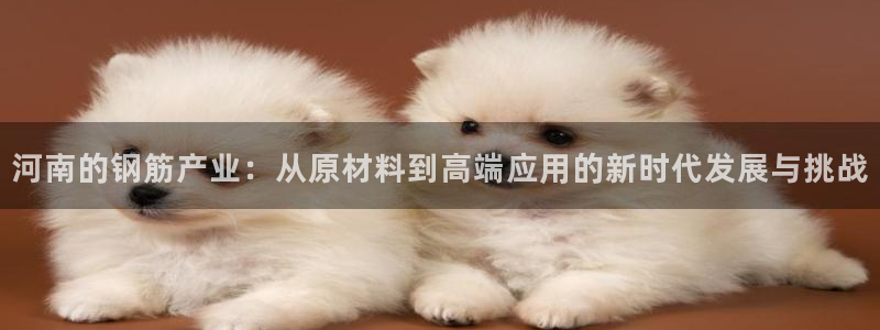 华润娱乐主管