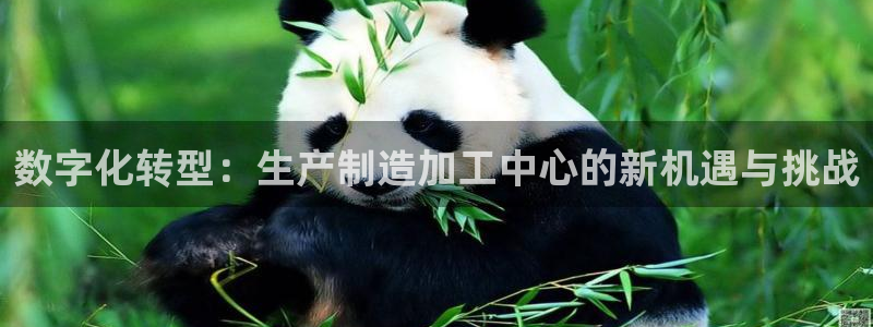 华润娱乐唐判官21