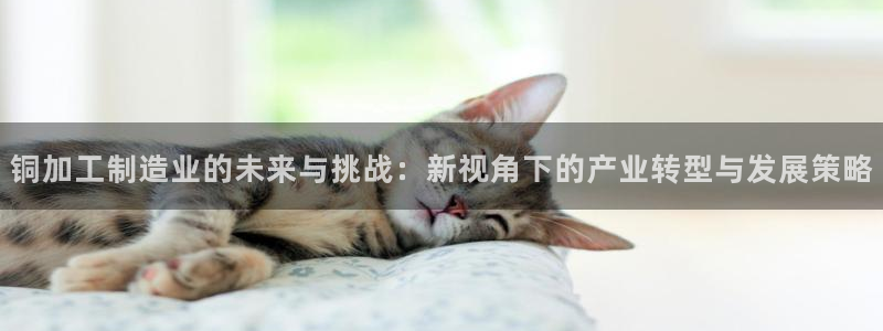 华润娱乐月