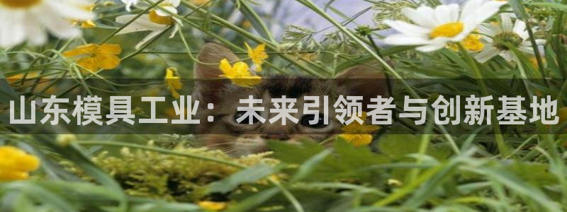 华润娱乐下5指尖