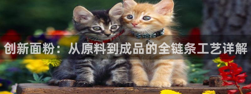 华润娱乐会员怎么注册