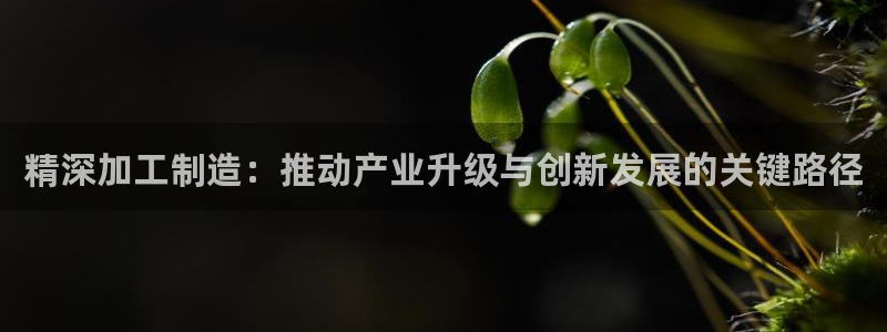 华润娱乐唐判官21