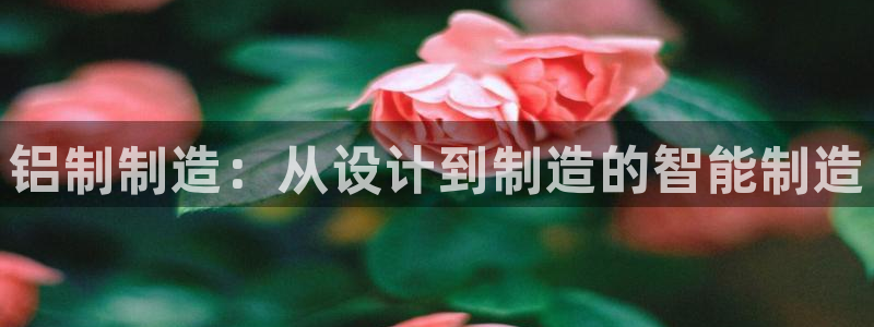 华润娱乐前5指尖