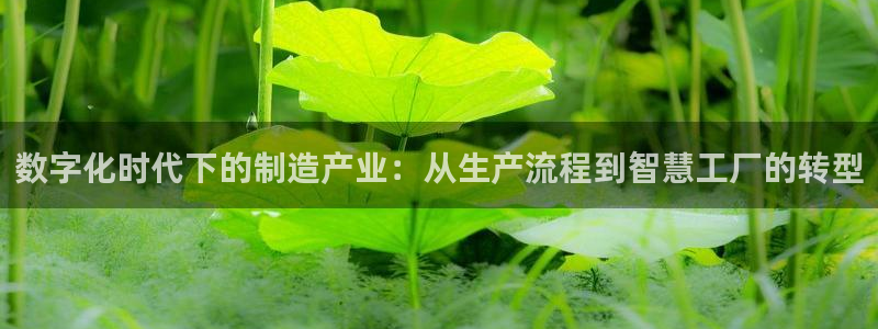 华润电子娱乐