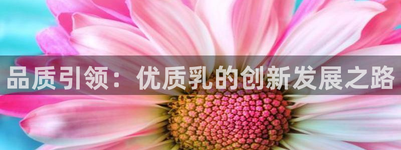 华润娱乐指尖过