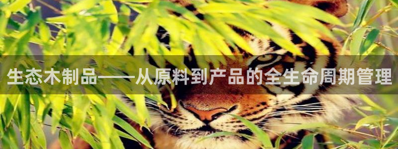 华润通休闲娱乐