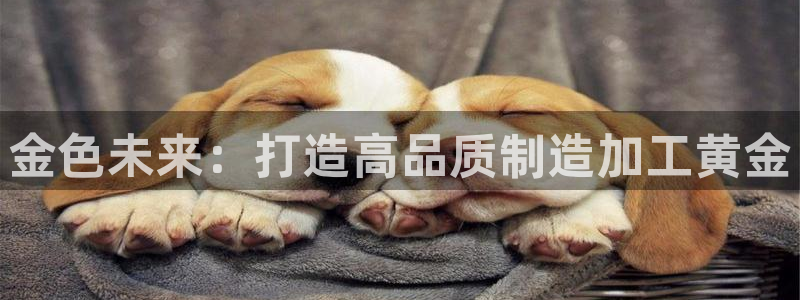 华润娱乐酶 92222