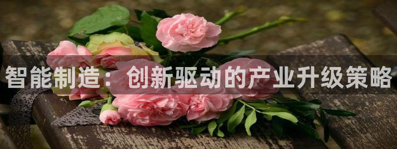 华润集团娱乐公司