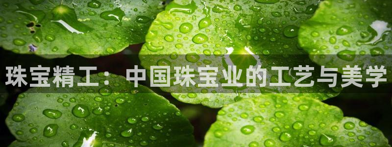 华润娱乐官方
