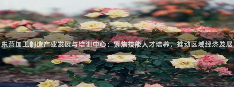 华润娱乐行580583