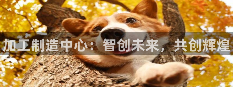 华润娱乐平台主管待遇