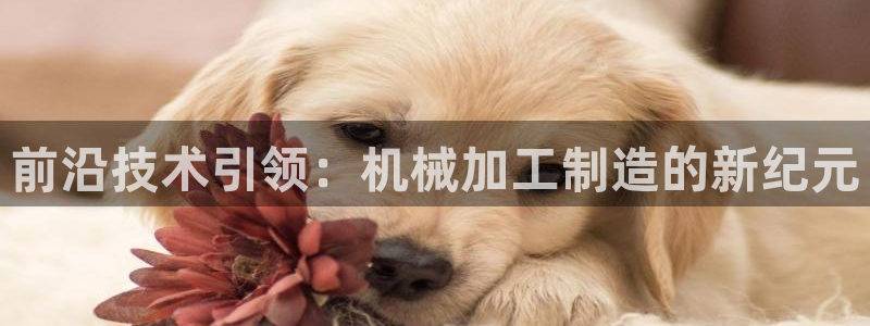 华润娱乐提现冻结