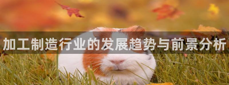 华润娱乐32二九01