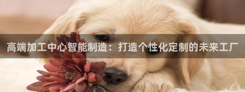 华润娱乐技术前景