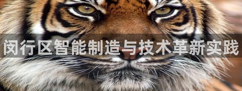 华润娱乐唐判官21