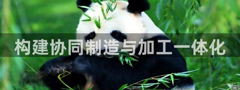 华润娱乐贴吧招聘信息