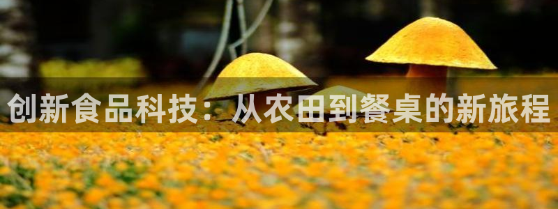 华润大学附近娱乐