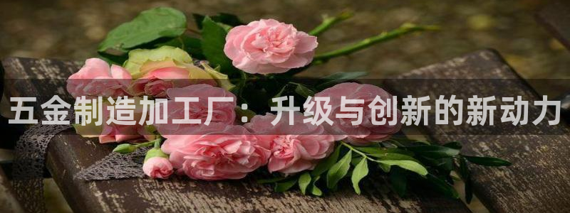 华润娱乐h3指尖