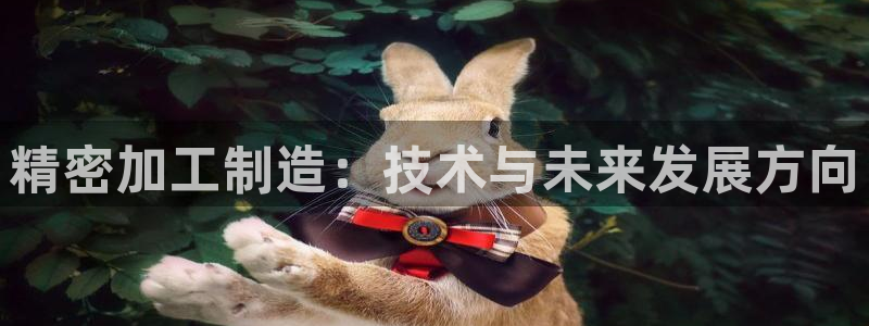 华润的娱乐项目