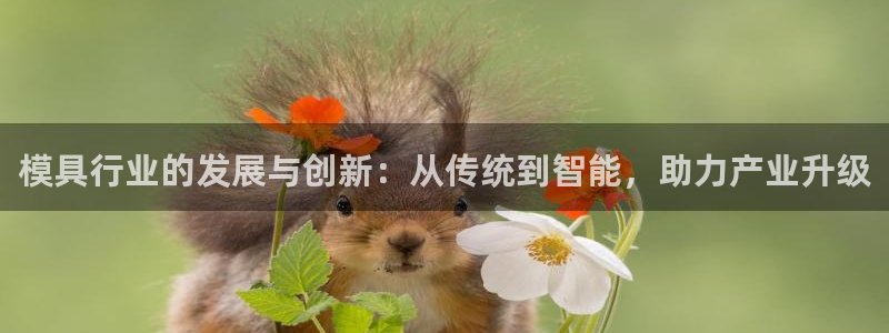 华润娱乐麻将客服电话