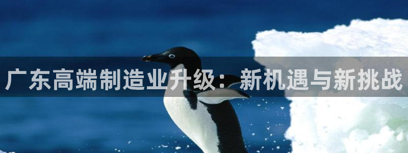 华润娱乐指尖会