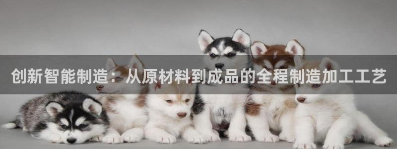 华润国际附近娱乐