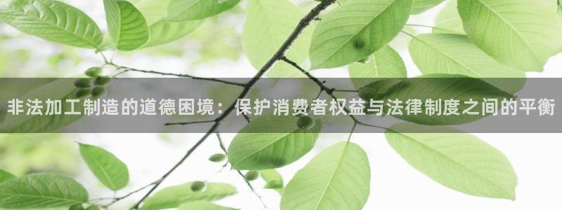 华润国际娱乐场