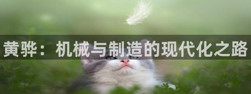 华润电玩娱乐