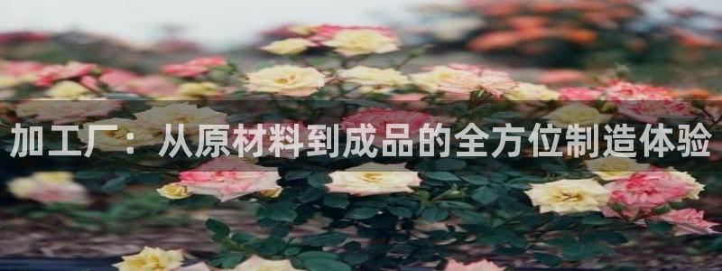 华润国际娱乐