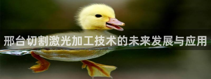 华润的娱乐项目