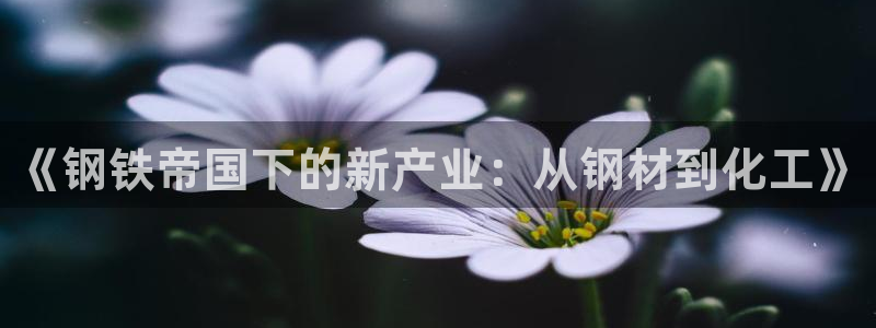 华润娱乐官网注册