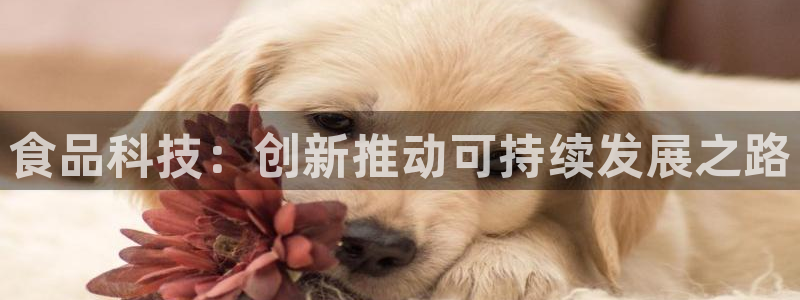 华润国际附近娱乐
